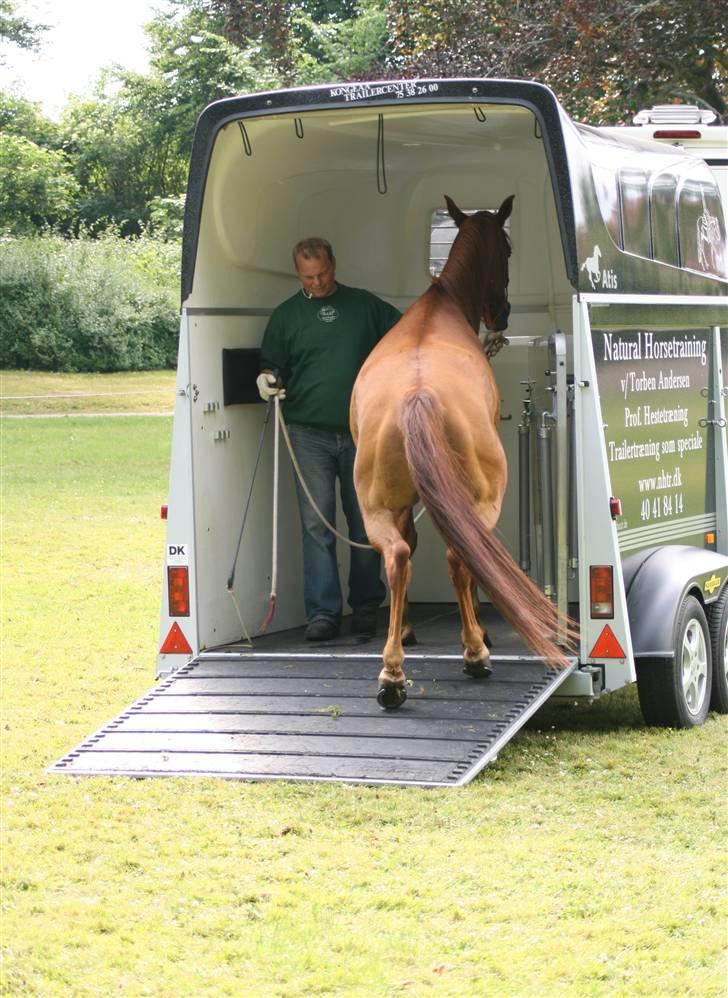 Sceance med Torben Andersen billede 16