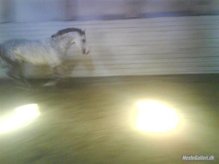 Charme, Selvtillid & Lækkert hår :P billede 70