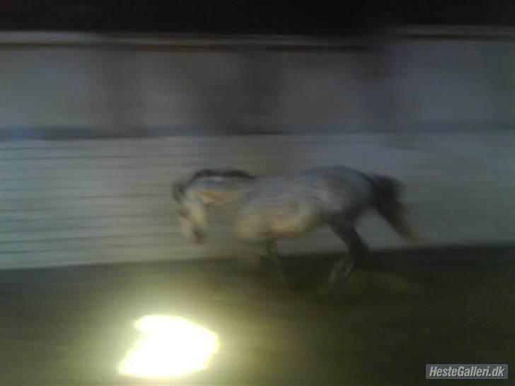 Charme, Selvtillid & Lækkert hår :P billede 71