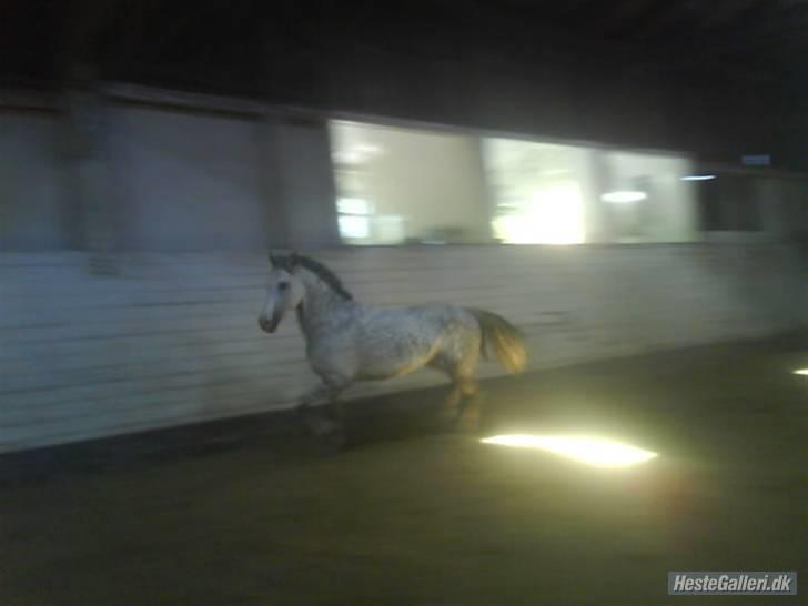 Charme, Selvtillid & Lækkert hår :P billede 72