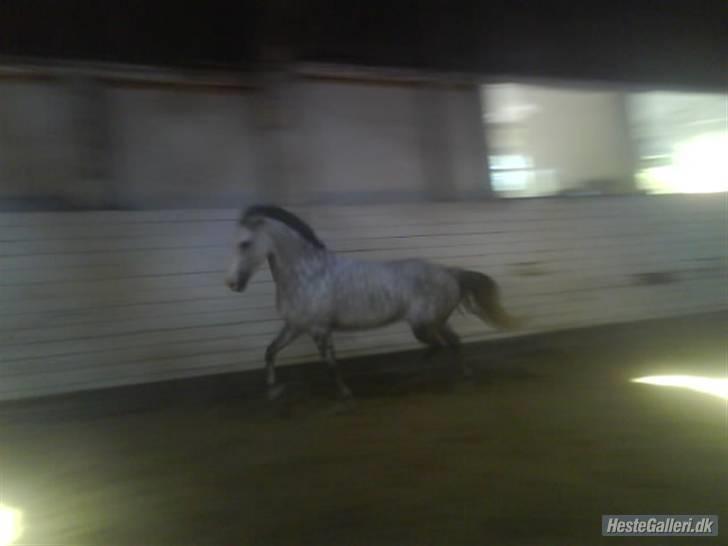 Charme, Selvtillid & Lækkert hår :P billede 73