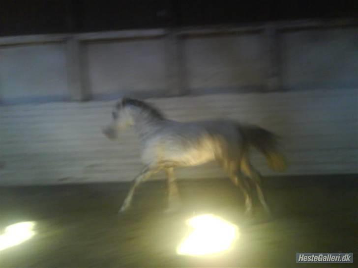 Charme, Selvtillid & Lækkert hår :P billede 74