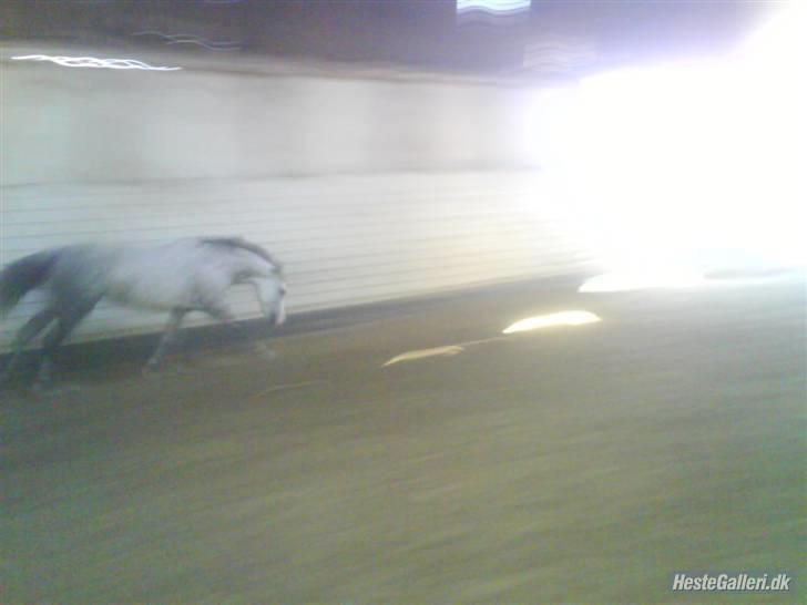 Charme, Selvtillid & Lækkert hår :P billede 75