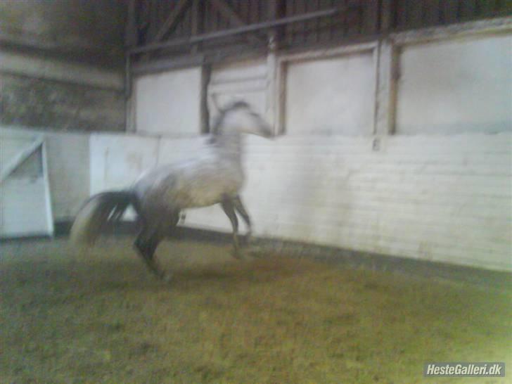 Charme, Selvtillid & Lækkert hår :P billede 76