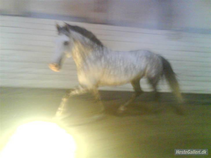 Charme, Selvtillid & Lækkert hår :P billede 77