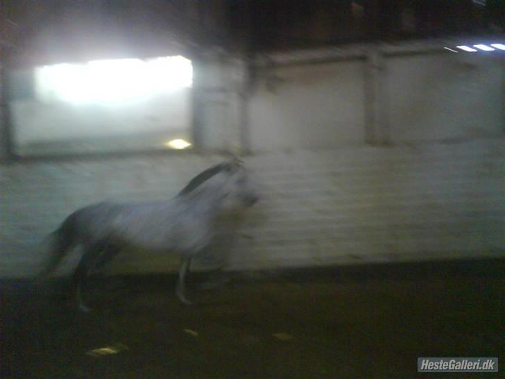 Charme, Selvtillid & Lækkert hår :P billede 78