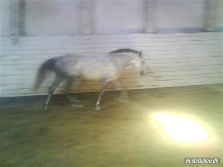 Charme, Selvtillid & Lækkert hår :P billede 79