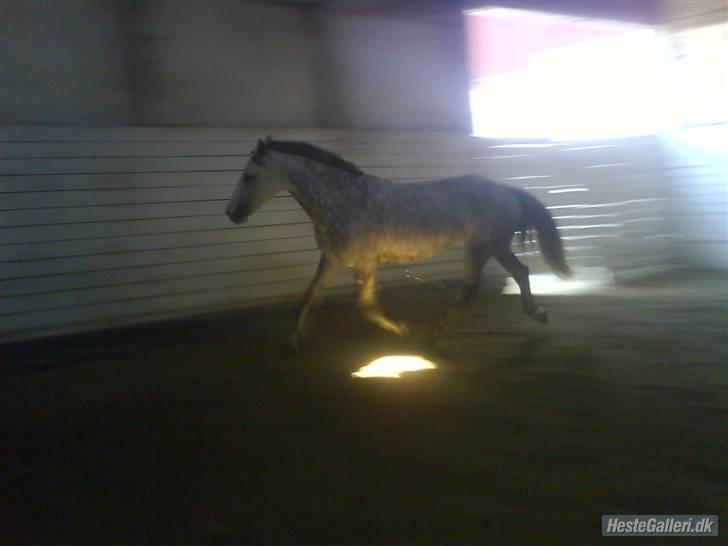 Charme, Selvtillid & Lækkert hår :P billede 80