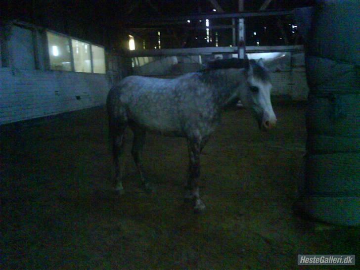 Charme, Selvtillid & Lækkert hår :P billede 81