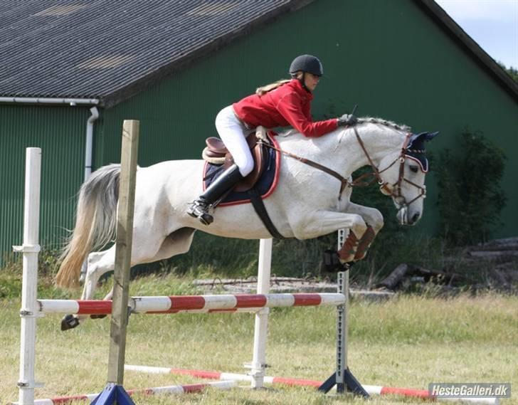 Diverse Ferrari (: - Foto : carina bisgaard. billede 2