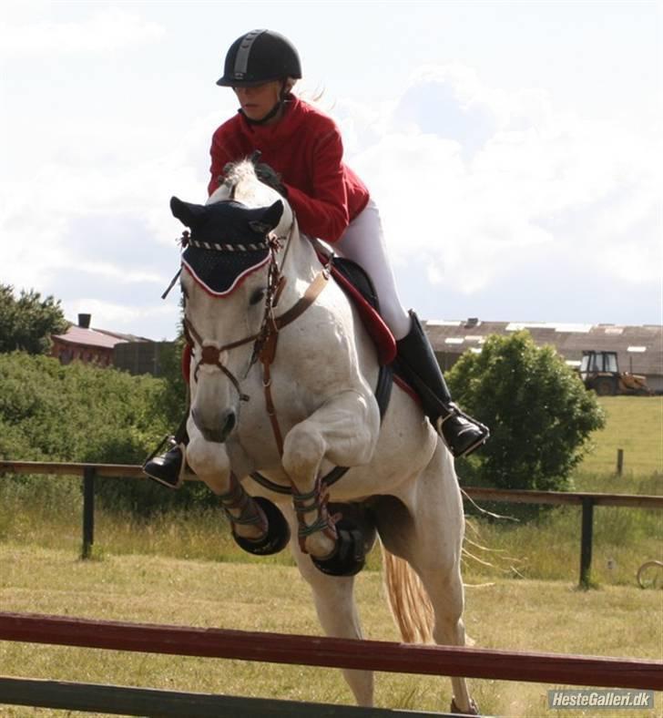 Diverse Ferrari (: - Foto : carina bisgaard. billede 3
