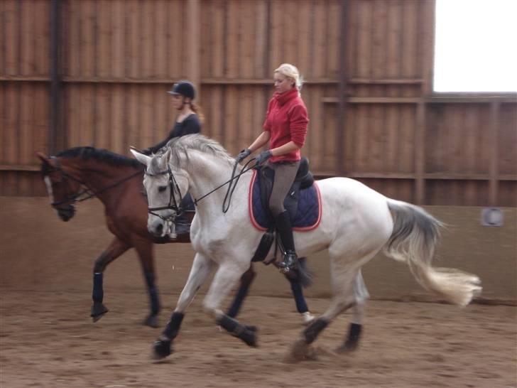 Diverse Ferrari (: - Det er camilla lunds stigebøjle der er ved hende mund hun rækker ikke tunge (:
foto : alice gosvig. billede 5