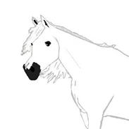 Her er så de heste jeg har tegnet på computeren