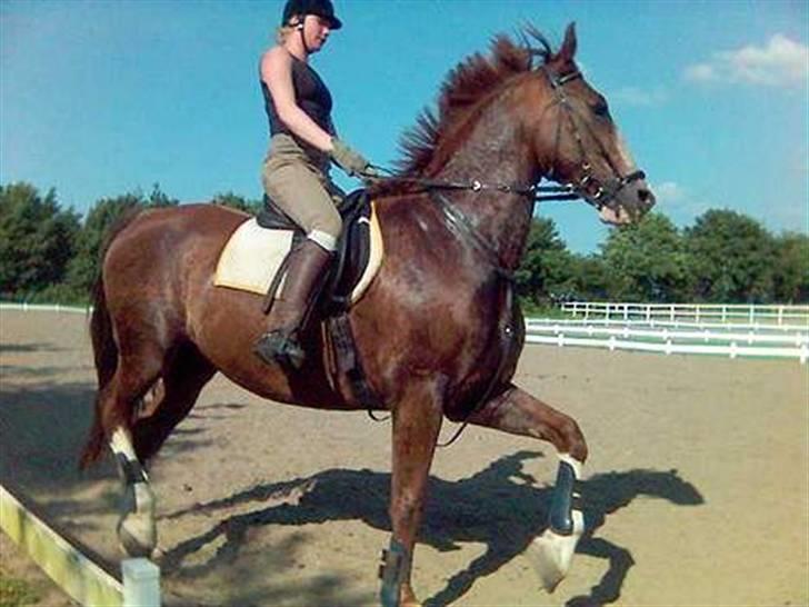 Mejlby rideklub (MER) - Lidt hidsig i starten i galop. billede 2