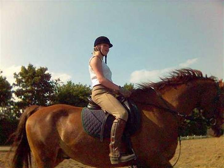 Mejlby rideklub (MER) billede 4