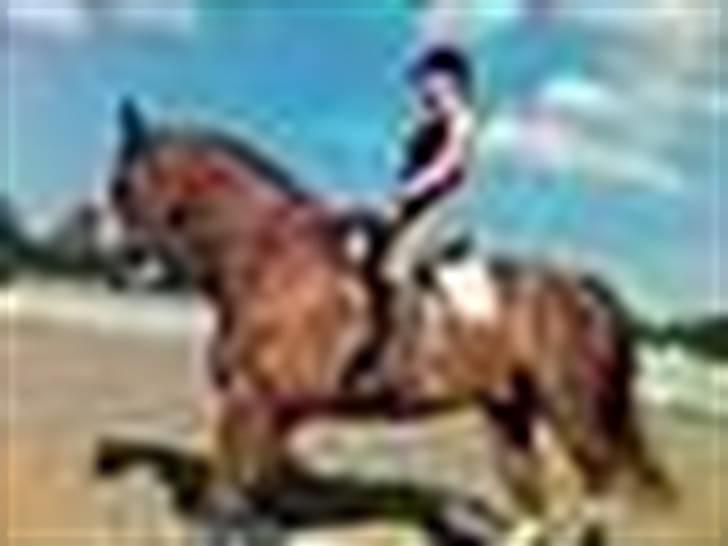 Mejlby rideklub (MER) - Tænder lidt op igen billede 5