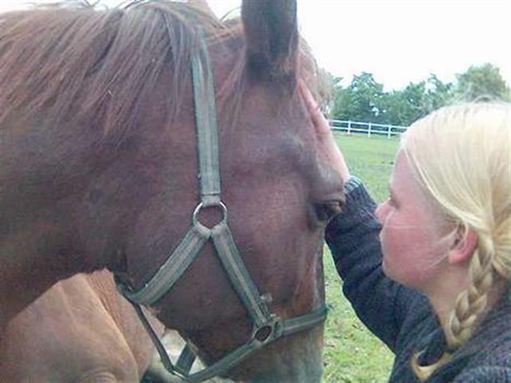 Mejlby rideklub (MER) - Måtte jo tage et billede som bevis hehe... billede 9