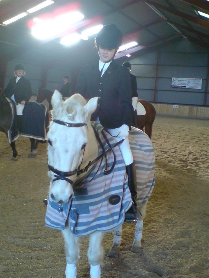 Mejlby rideklub (MER) - Line p. og bounty. elevhest og passer billede 12