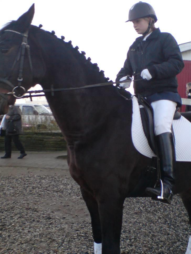 Mejlby rideklub (MER) - Apollon og jonnie elevhest og ejer billede 13