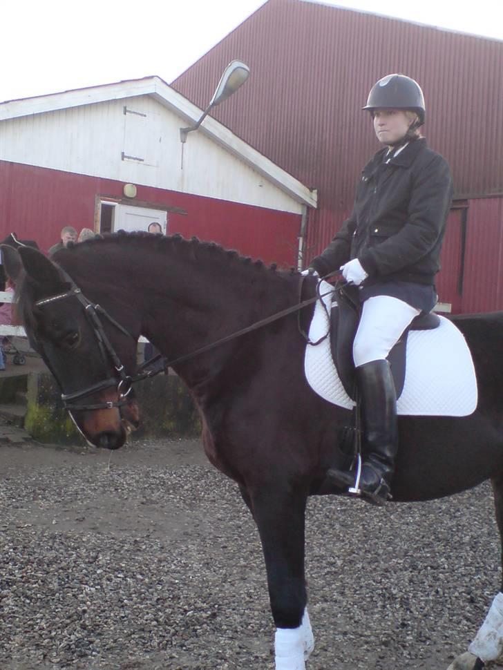 Mejlby rideklub (MER) - De samme billede 14