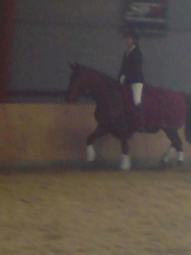 Mejlby rideklub (MER) - De samme billede 16