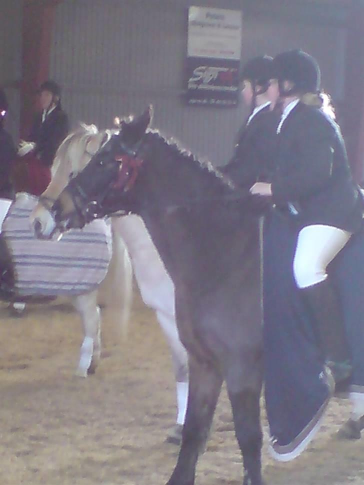 Mejlby rideklub (MER) - Præmieoverrækkelse billede 18