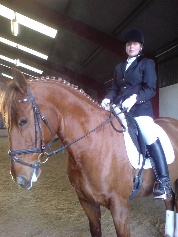 Mejlby rideklub (MER) - Birgitte og flicka ejer og privathest billede 20