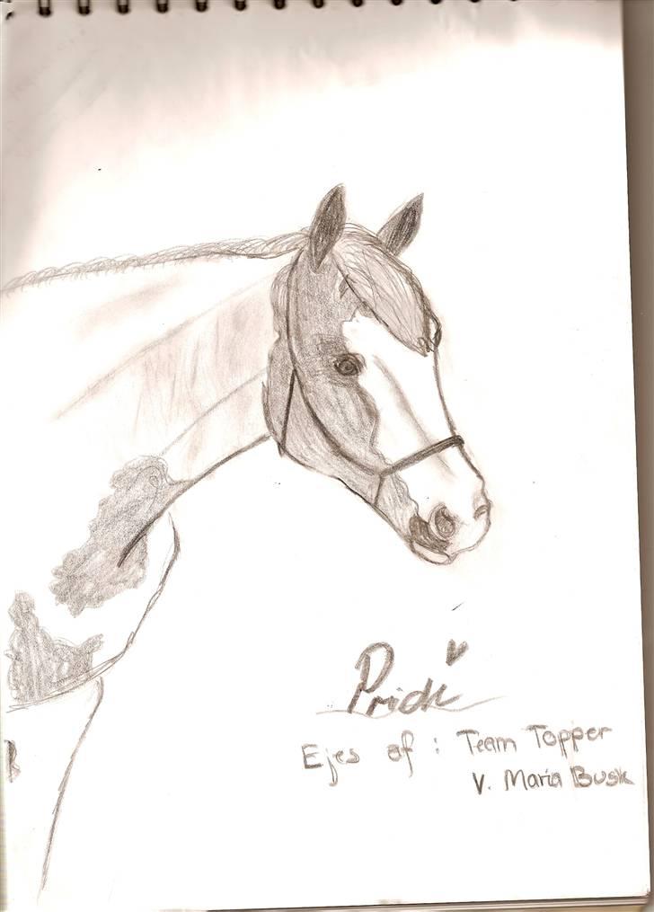 Mine tegninger - Pride

Ejes af Team Topper v. Maria Busk

Er igang med en mere Maria da han fik et ret lille hoved så prøver igen men satte lige det her ind (: billede 7