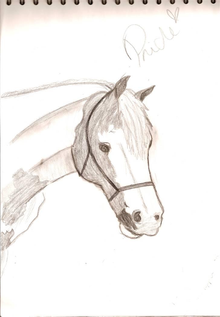 Mine tegninger - Pride

blev ret meget bedre synes jeg selv (: men er jo ikk prof. ?

Værsgo Maria håber du kan bruge dem... du kopiere dem bare (: billede 8