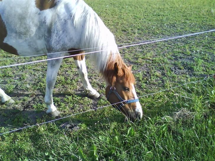 Cooper og Emma på sommerferie billede 4