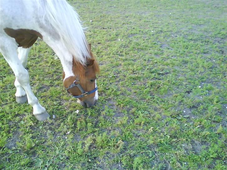 Cooper og Emma på sommerferie billede 6