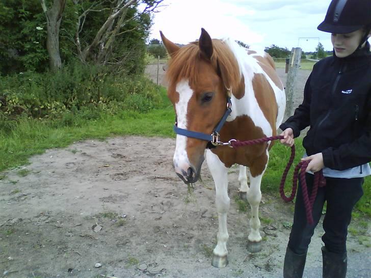 Cooper og Emma på sommerferie billede 11