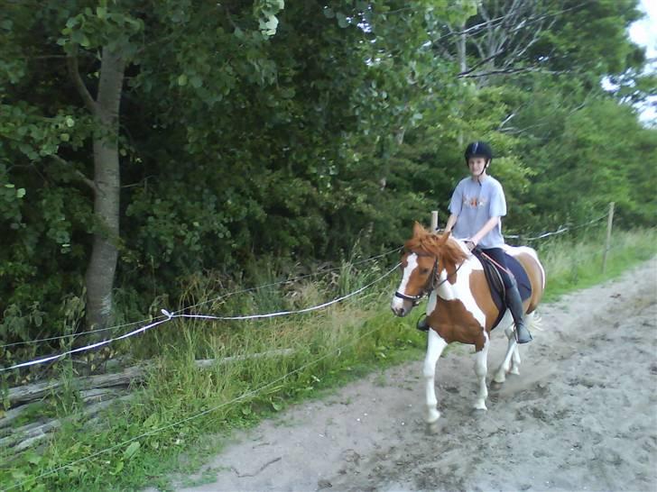 Cooper og Emma på sommerferie billede 16