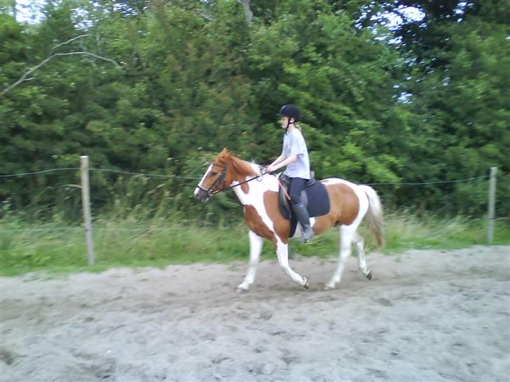 Cooper og Emma på sommerferie billede 17