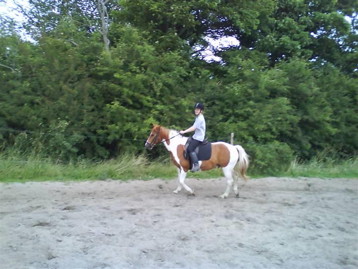 Cooper og Emma på sommerferie billede 18