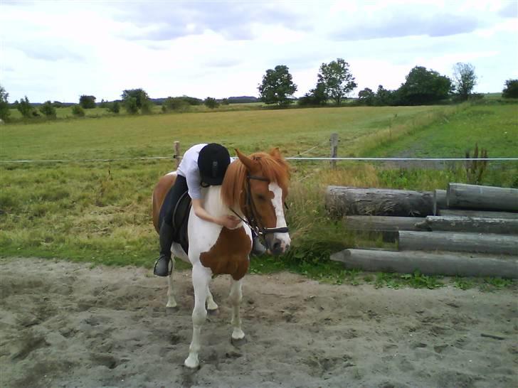 Cooper og Emma på sommerferie billede 19