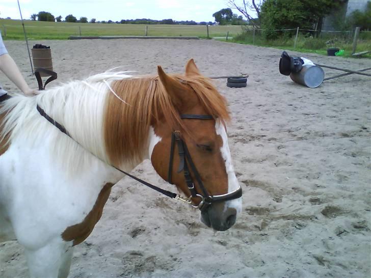 Cooper og Emma på sommerferie billede 23