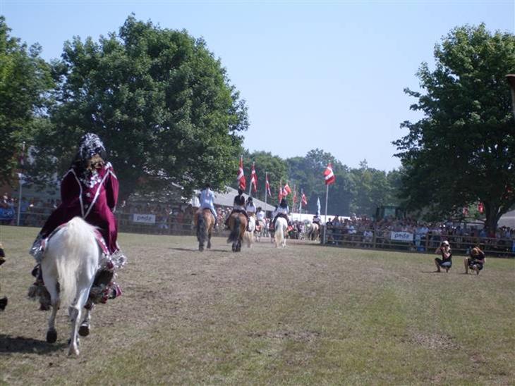 {{currentPhoto.altText}} billede {{currentPhoto.number}}