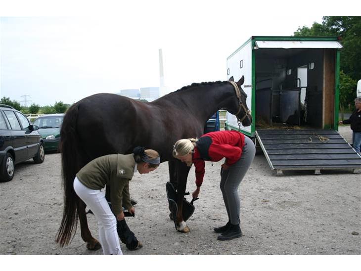 {{currentPhoto.altText}} billede {{currentPhoto.number}}