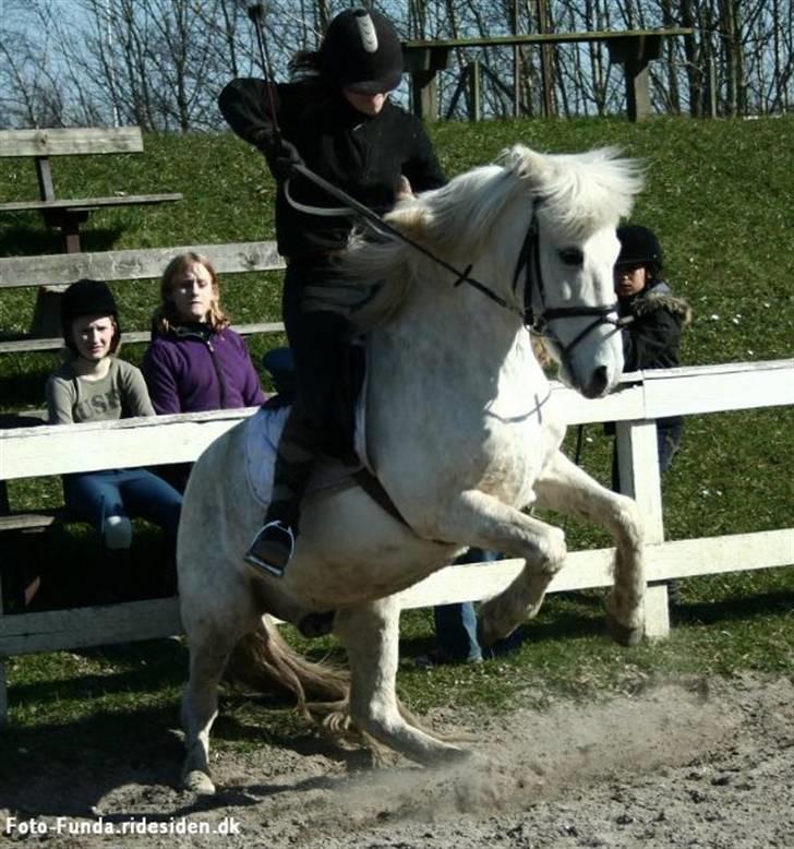 Heste - Mig på Lurifax.
Han bukkede mindst 30 gange.
Stejlede lodret op 1 gang.
Han smed mig til gengæld også af 5 gange.
Taget Af Funda Lindberg! billede 1