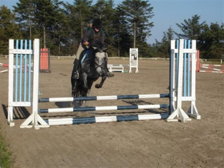 Billeder af andre heste jeg rider - Her springer jeg på min mor's 1'er pony, Geo .. Det var til noget ring og spring, hvor man bare kommer og kan hoppe et par baner i den højde man ønsker .. Det var i SIndal rideklub d.2/7-08 billede 3