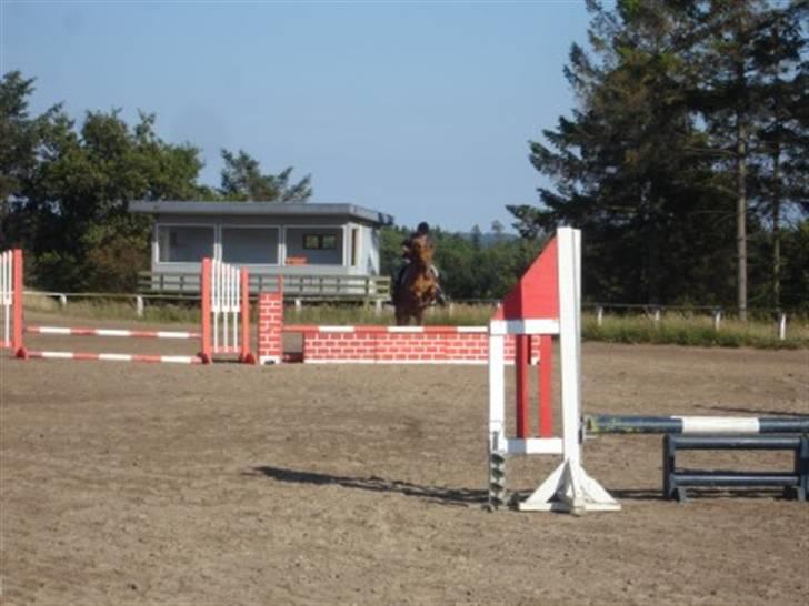 Billeder af andre heste jeg rider - Her springer jeg mur på Odbjergs Emil, min søsters hest, også i Sindal d.2/7-08 billede 4