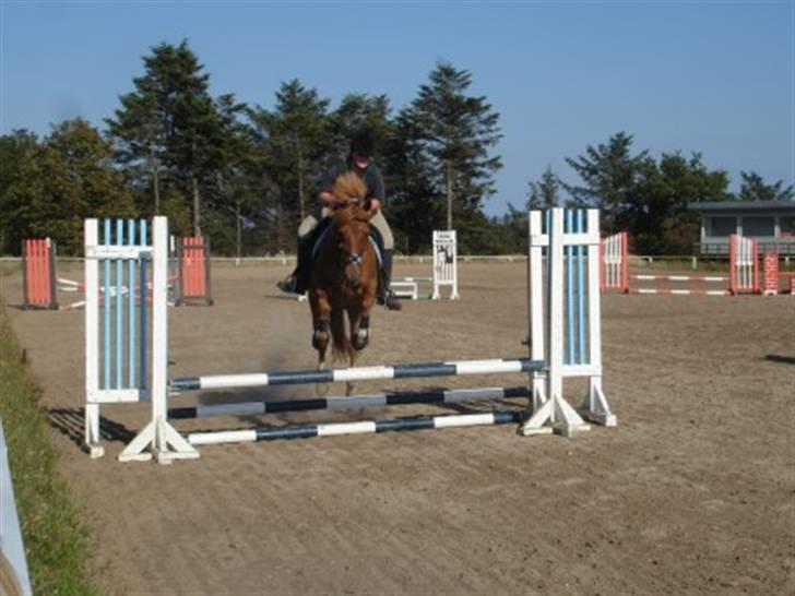 Billeder af andre heste jeg rider - Jeg springer Emil i Sindal d.2/7-08 billede 5