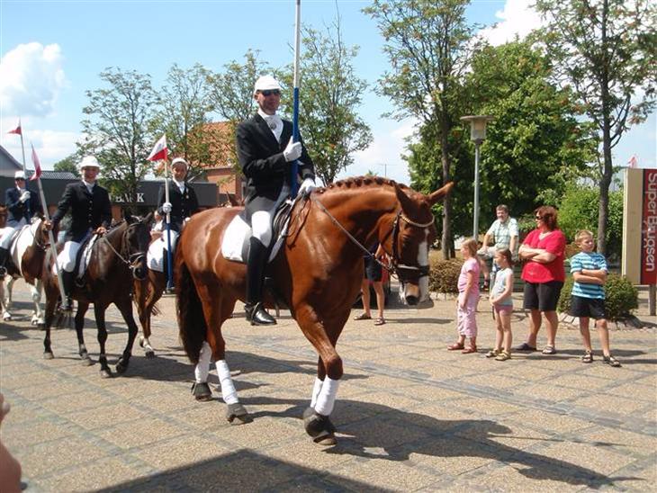 Broager Ringridning 2008 - Diverse Hest - Uploadet Af Team GRR4 Dolce ...