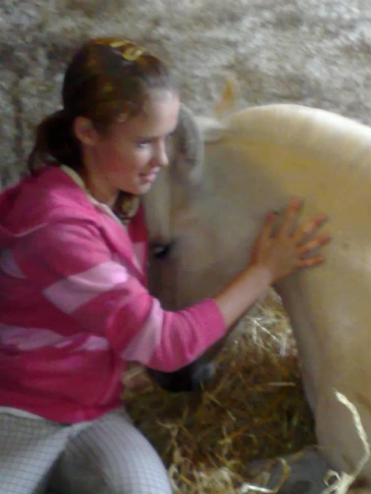 Mejlby rideklub (MER) billede 21