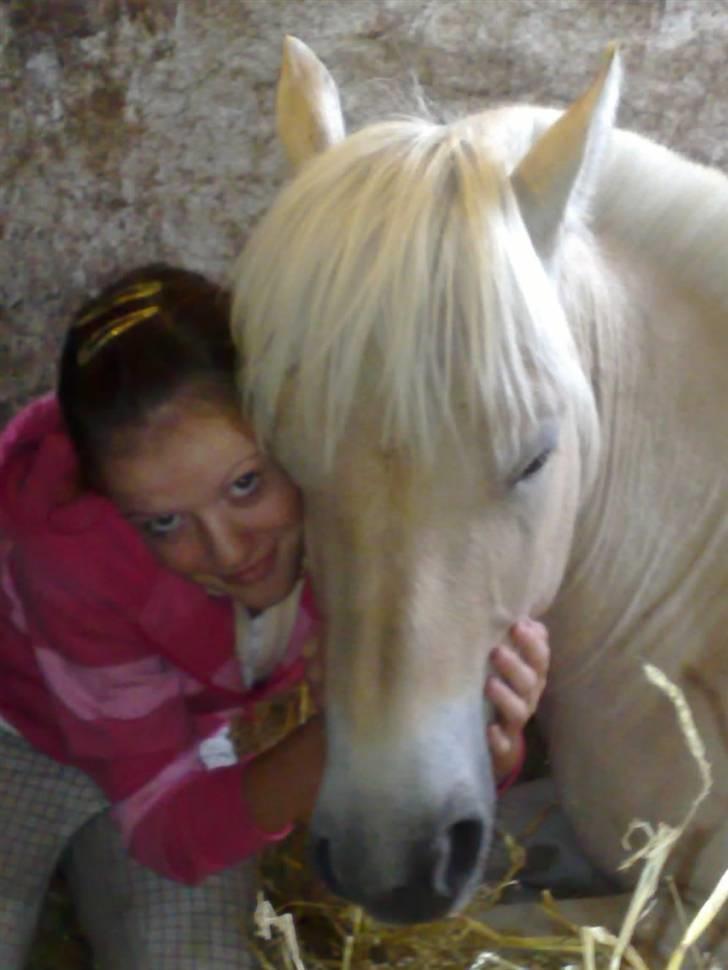 Mejlby rideklub (MER) billede 22