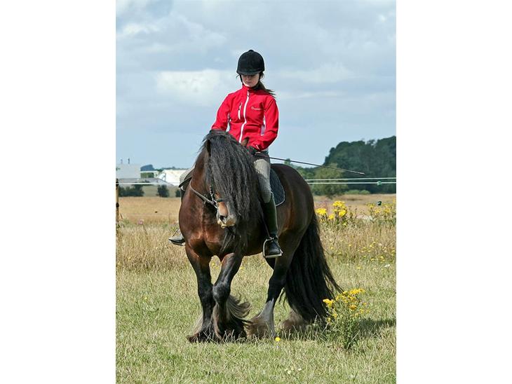 {{currentPhoto.altText}} billede {{currentPhoto.number}}