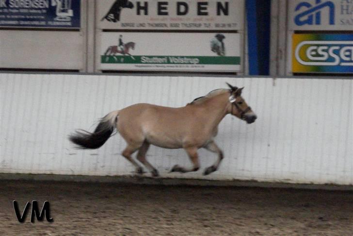 Kåring på Finstrupgård. - Dejlige fræser-Camilla (: billede 3