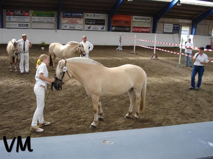 Kåring på Finstrupgård. - Den nybagte fløj-hoppe Kyra (; billede 4