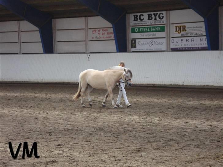 Kåring på Finstrupgård. - Kyra billede 7